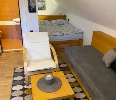 Letohrad Apartment | Apartmán Ivko