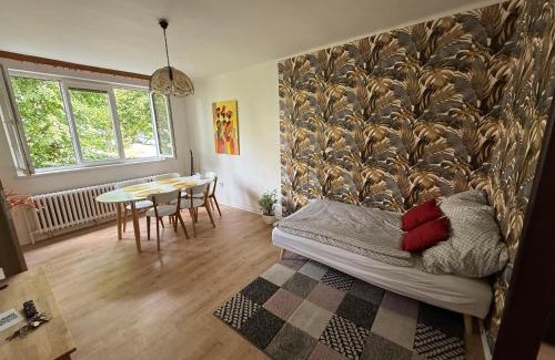 Jihlava Apartment | Apartmán JzP