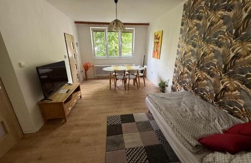 Jihlava Apartment | Apartmán JzP