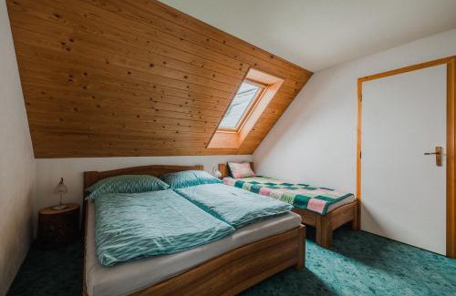 Rokytnice nad Jizerou Apartment | Apartmán Karel a Martina