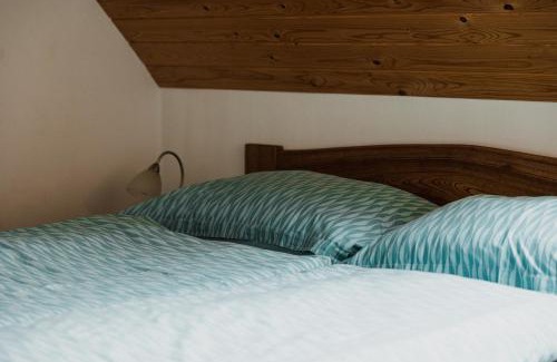 Rokytnice nad Jizerou Apartment | Apartmán Karel a Martina
