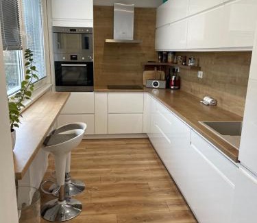Olomouc Apartment | Apartmán Letná