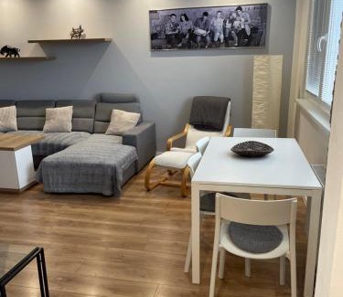Olomouc Apartment | Apartmán Letná