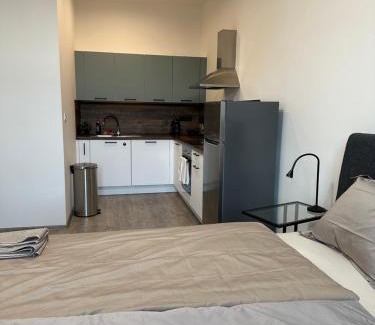 Tabor Apartment | Apartmán Palackého