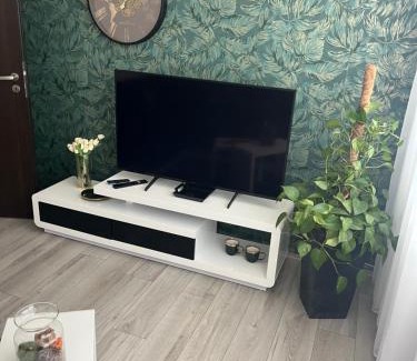 Trebic Apartment | Apartmán v Třebíči