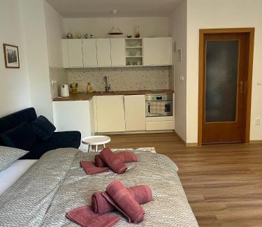 Podebrady Apartment | Apartmán Ve středu dění