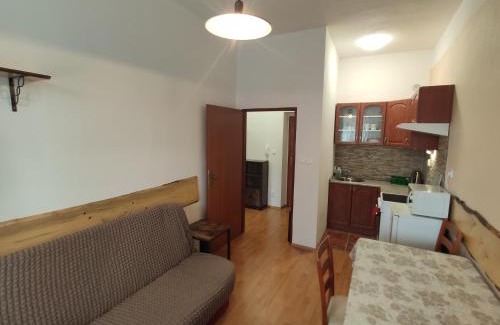Karlovice Apartment | Apartmán Viky, Karlovice 251, 79323 Karlovice