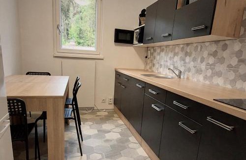 Josefov Dul Apartment | Apartmánek Jizerské hory
