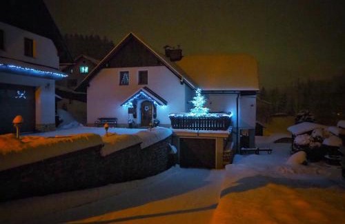 Rokytnice nad Jizerou Apartment | APARTMÁNY - Pacholik