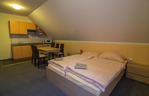 Rokytnice nad Jizerou Apartment | Apartmány Sport with Garage