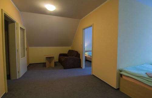 Rokytnice nad Jizerou Apartment | Apartmány Sport with Garage