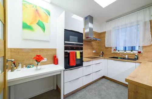 Plana nad Luznici Apartment | Apartmány Volavka 3