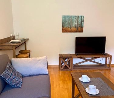 Kopaonik Apartment | Apartman 20, Brzeće Centar