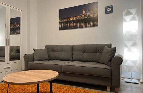 Osijek Apartment | Apartman Dunav - PARKING - Self check in