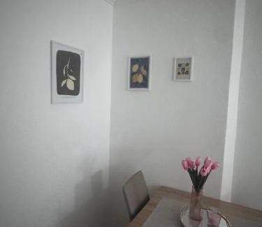 Prijepolje Apartment | Apartman Kaljević