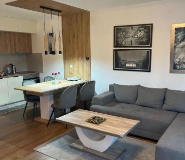 Vrnjacka Banja Apartment | Apartman Zelena laguna