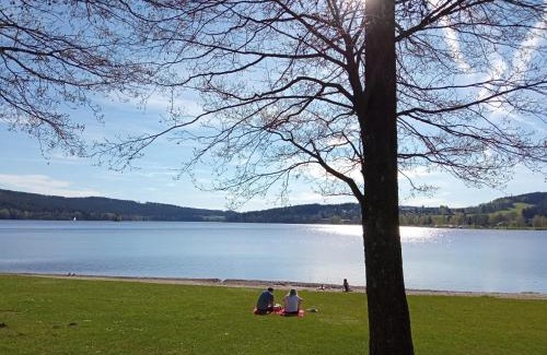 Lipno nad Vltavou Apartment | Apartman29