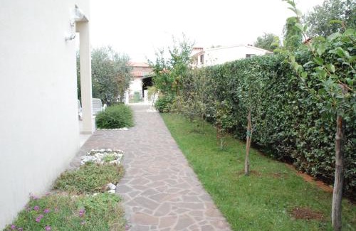 Stranici kod Nove Vasi House | Apartmani Radin