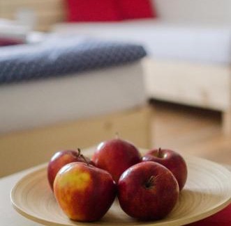 Litovel Apartment | Apartmany a Ubytovani Mlynice Litovel