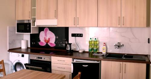 Blansko Apartment | Apartmany De-Lu