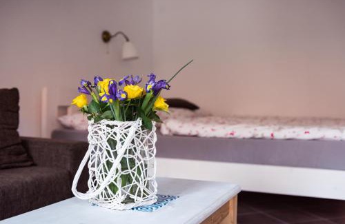 Rabi Apartment | Apartmany Rabi