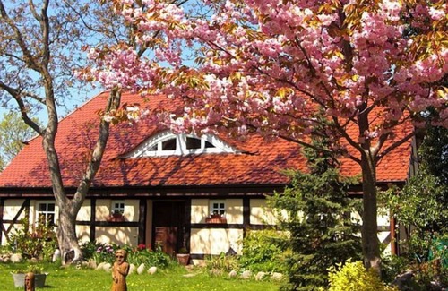 Garz/Rugen Apartment | Apartment 1 - Rügen apartment 119