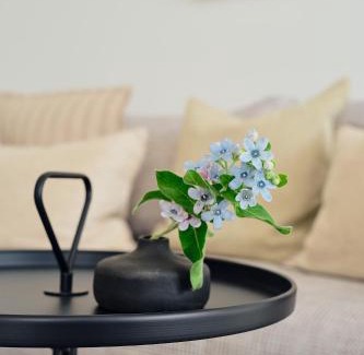 Zirchow Apartment | Apartment A 6 "Pine Hill Resort"