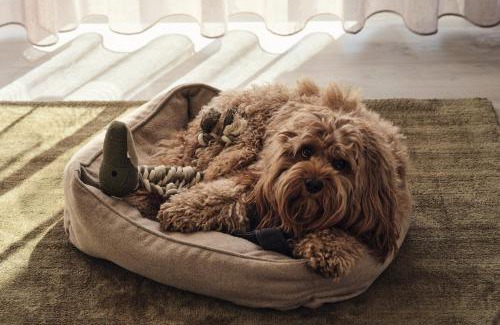 Zirchow Apartment | Apartment A12 "Pine Hill Resort" - zwei Bäder, Balkon & Nutzung der Gemeinschaftsräume