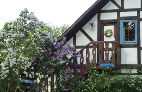 Hedendorf Apartment | Apartment - Apartment Am Walde