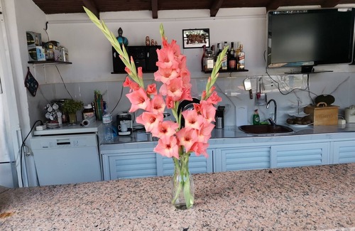 Metamorfosi Apartment | Apartment/apartment for 5 guests with 62m² in Nikiti (187511)