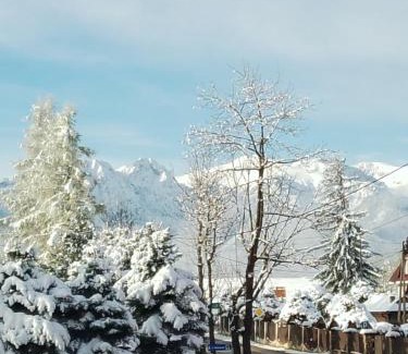 Zakopane Apartment | Apartment at the Obelisk - entire place