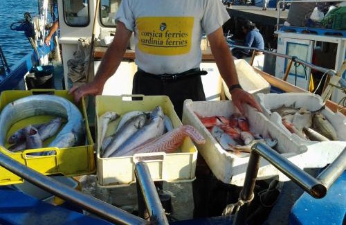 Ischia Porto Apartment | Apartment Casa spiaggia