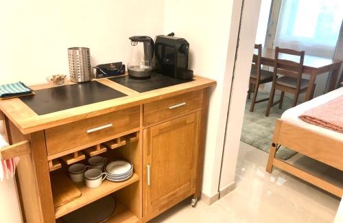 Jona House | Apartment Deluxe with Garden Rapperswil-Jona