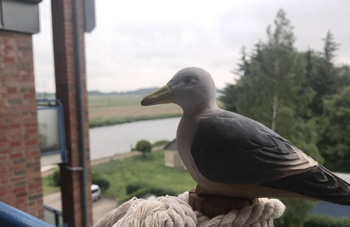 Nordliche Muhlenvorstadt Apartment | Apartment, directly on the water, near BDH, university hospital and city Pets welcome