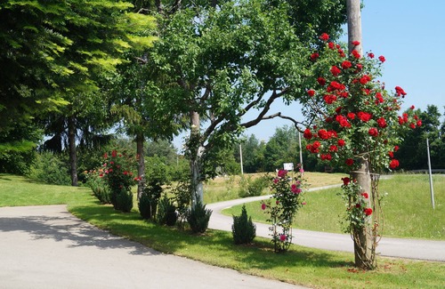 Ostarski Stanovi Apartment | Apartment Drago, Rakovica