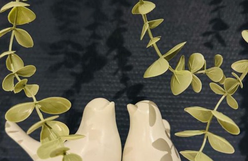 Vorst Apartment | Apartment Easyway to sleep