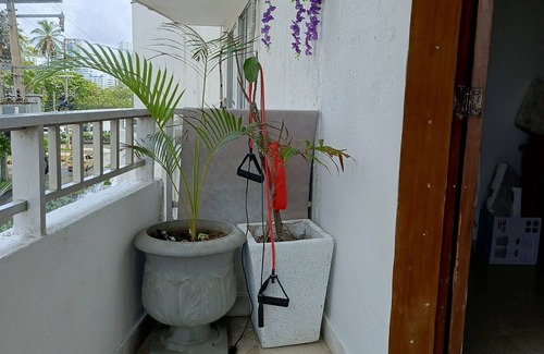 San Pedro Apartment | Apartment excellent location bocagrande cartagena close to all destinations.