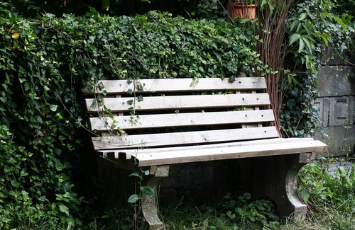 Fladungen Apartment | Apartment 'Ferienwohnung Lok Alfred, 38qm' with Shared Garden