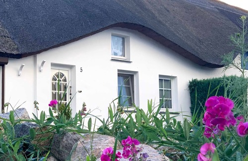 Zempin Apartment | Apartment Fischerhus