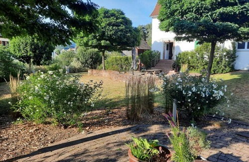 Breitenbach-Haut-Rhin Apartment | Apartment with garden in Alsace