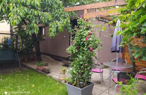 Ceske Budejovice Apartment | Apartment Garden