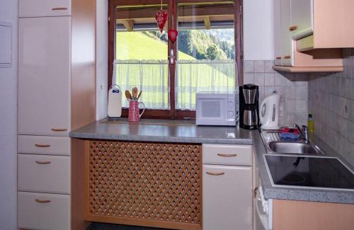 Schonbach Apartment | Apartment in Hollersbach near Ski Slopes
