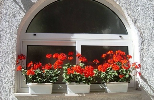 Brist Apartment | Apartment in Brist with Seaview, Balcony, Air condition, WIFI (641-1)