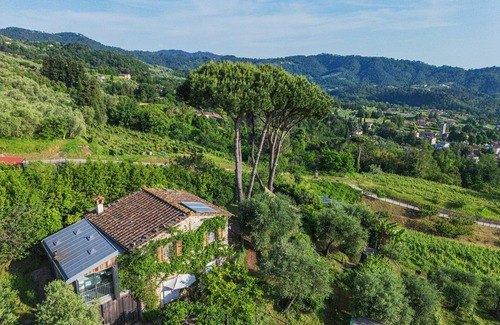 Camaiore Apartment | Apartment in Camaiore with 2 bedrooms sleeps 4