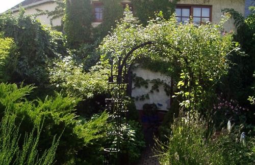 Ruedesheim am Rhein House | Apartment in the winery