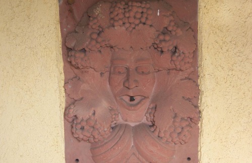 Neuleiningen Apartment | Apartment in fantastic location with view to the wineyards and the forrest