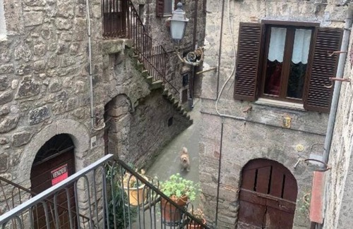 Bomarzo Apartment | Apartment in the charming center of Bomarzo, adjacent to the Monster Park!