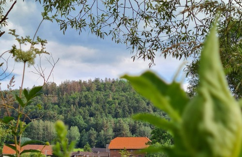 Hatzfeld Apartment | Apartment in the yard of a historic mill