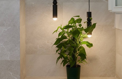 Arxiduc Apartment | Apartment in the heart of Mallorca