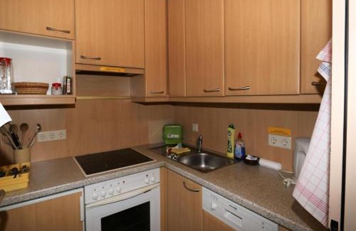 Ramsau am Dachstein Apartment | Apartment in Vorberg near Dachstein Glacier